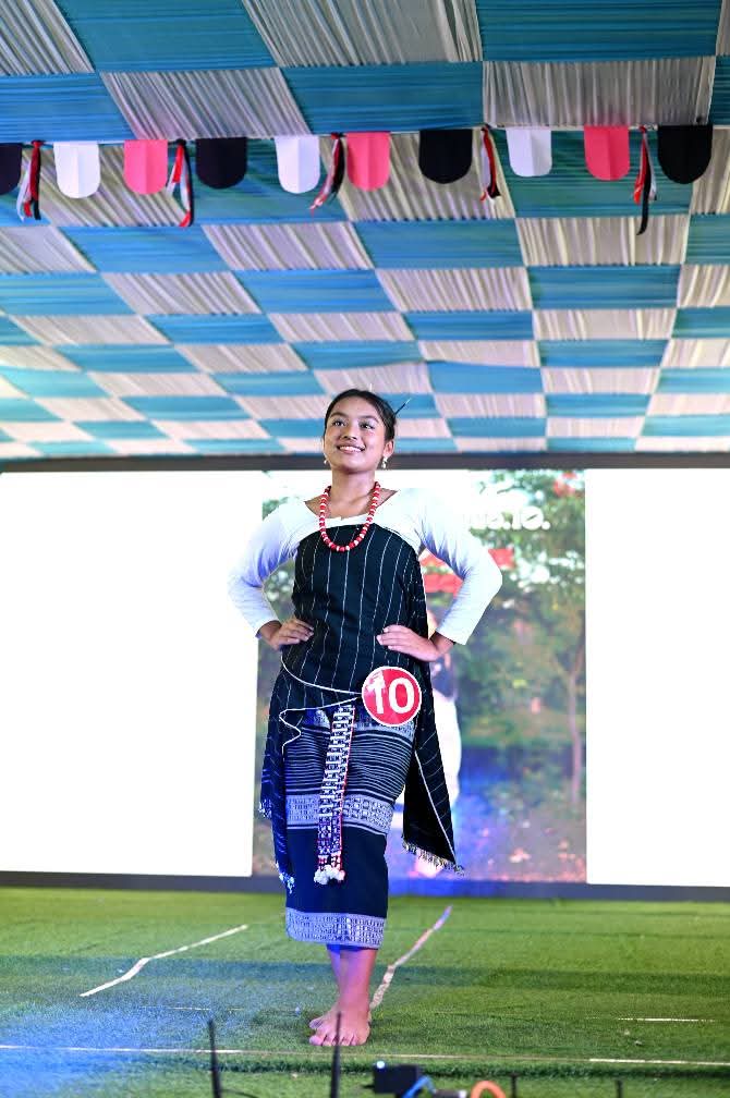 Dolfina hansepi