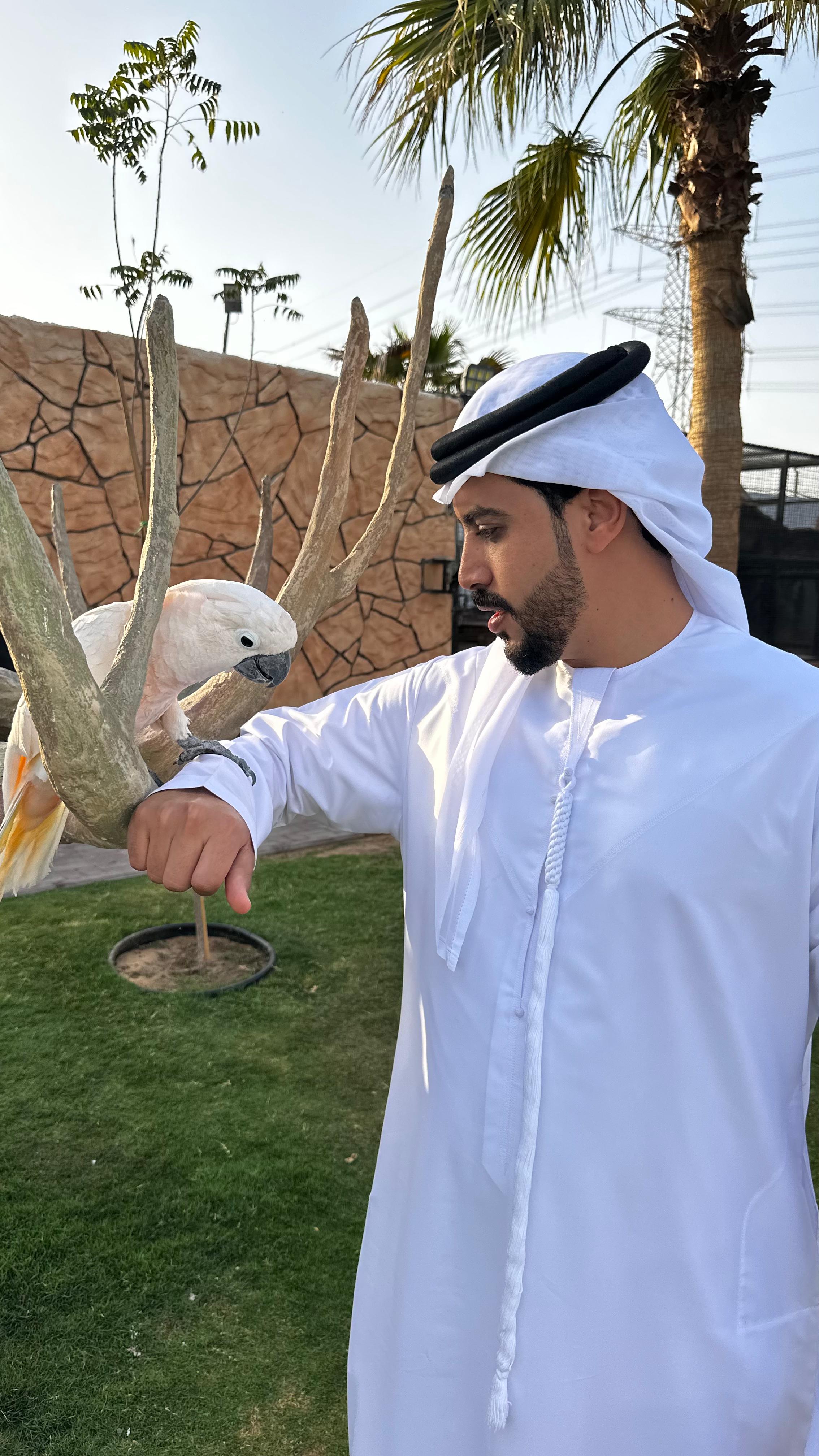 Shehab Mohamed  - portfolio