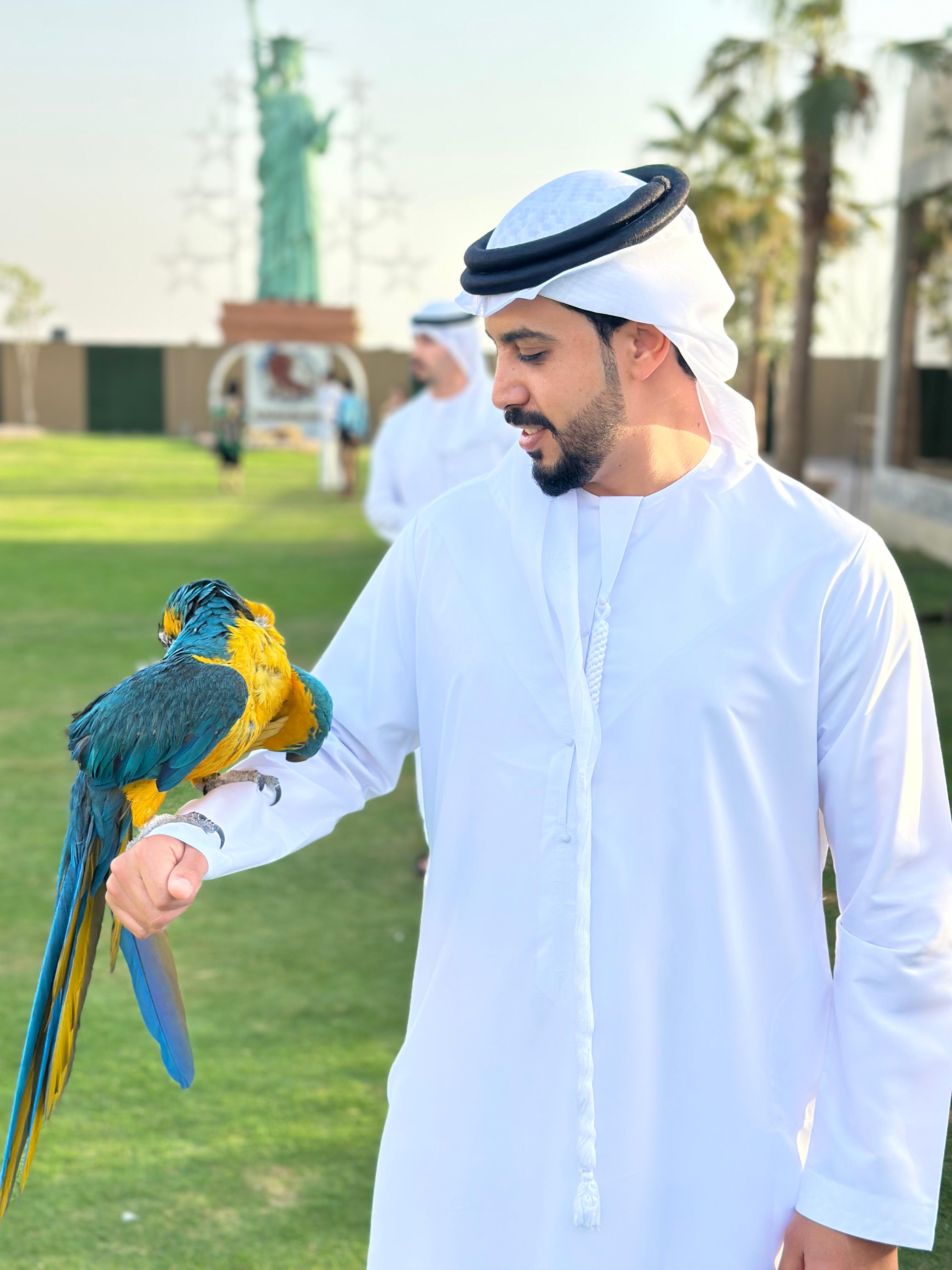 Shehab Mohamed  - portfolio