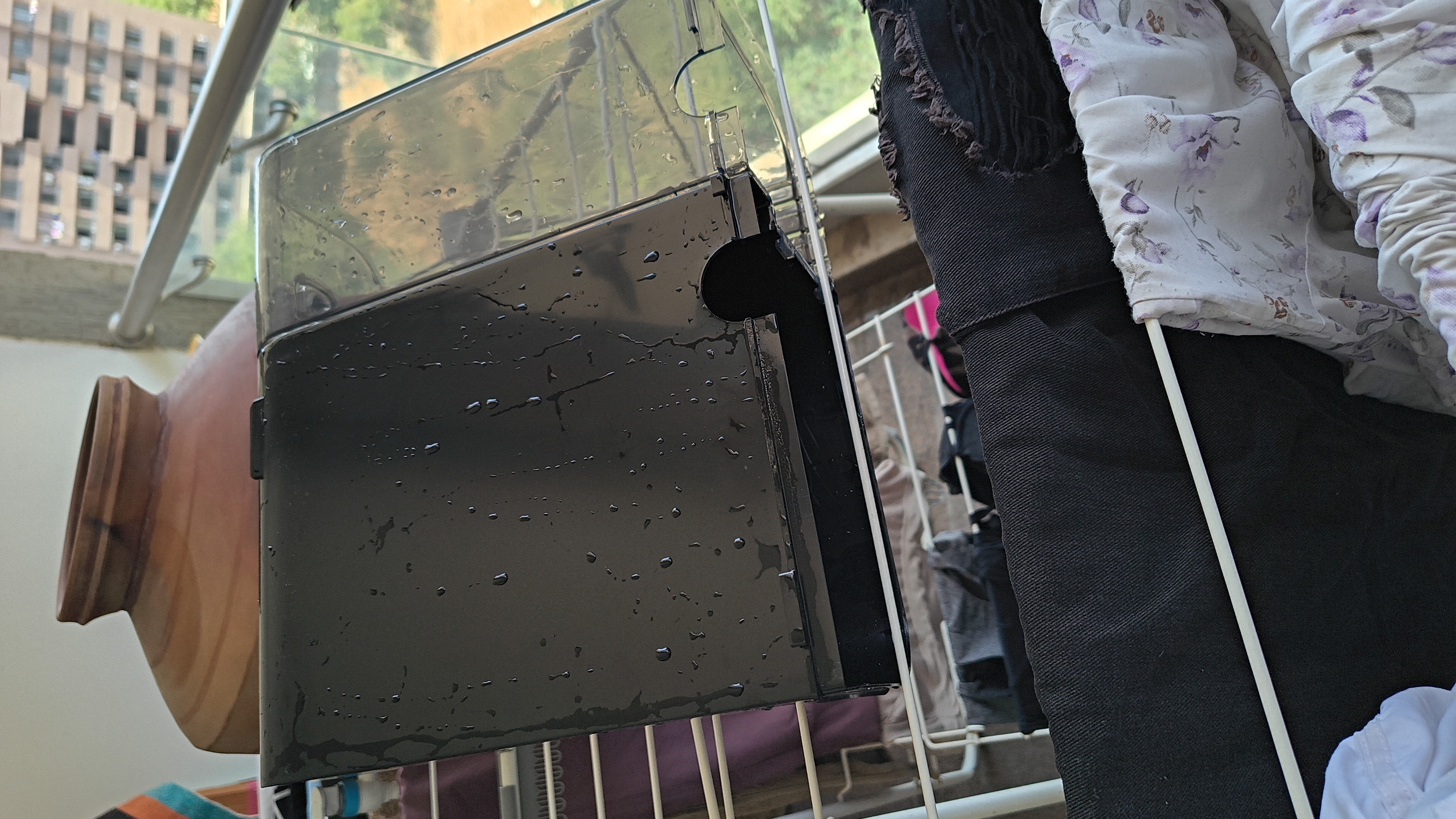 Chandni Sharma gurnani  - portfolio