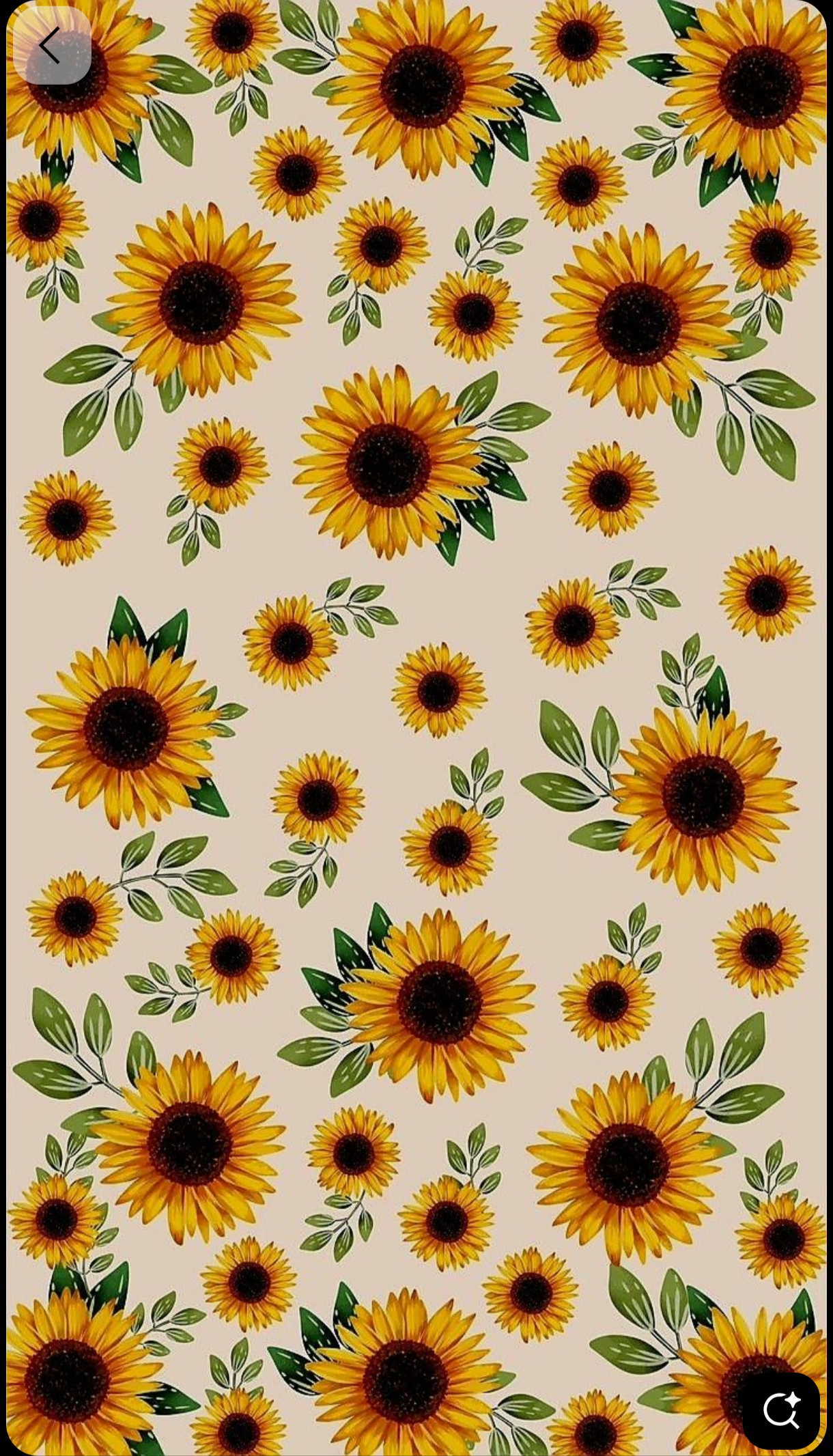 Chandni Sharma gurnani  - portfolio