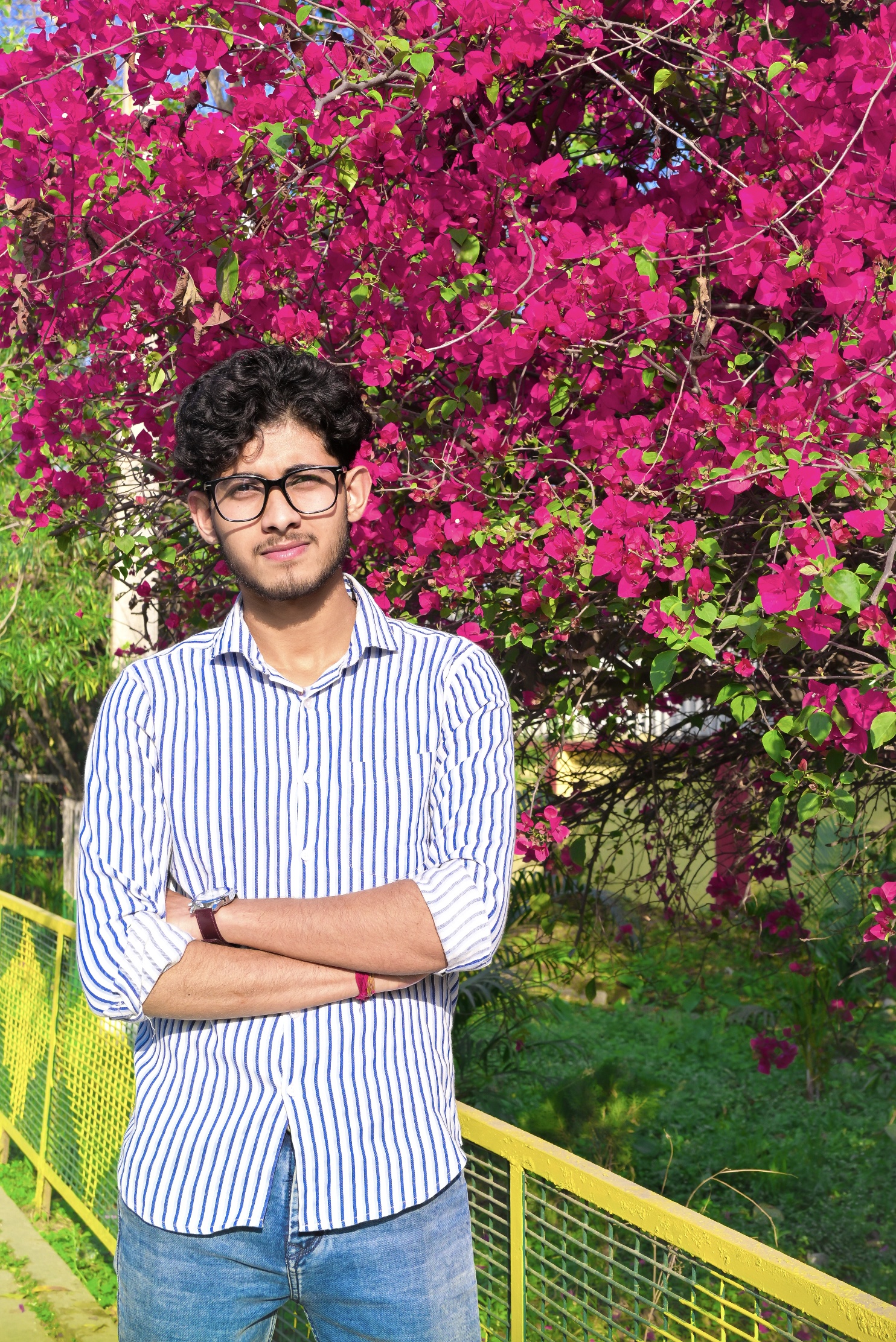 Pradeep Chakraborty - portfolio